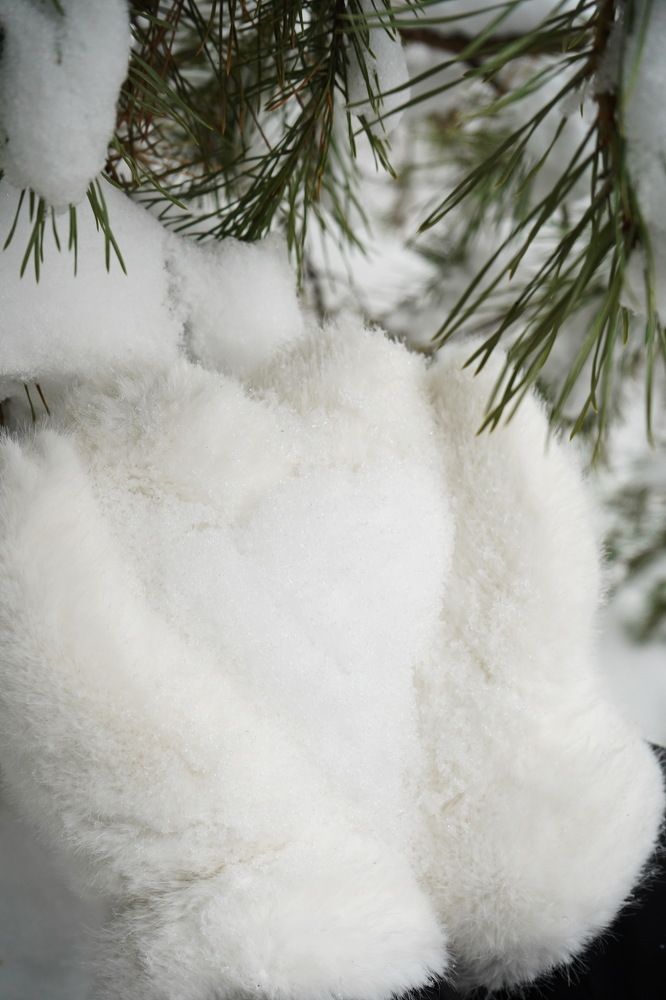 Photograph by Любовь Лунина