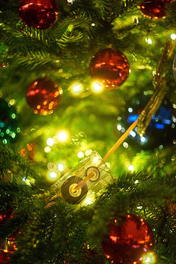 Photograph by Alexander Coin