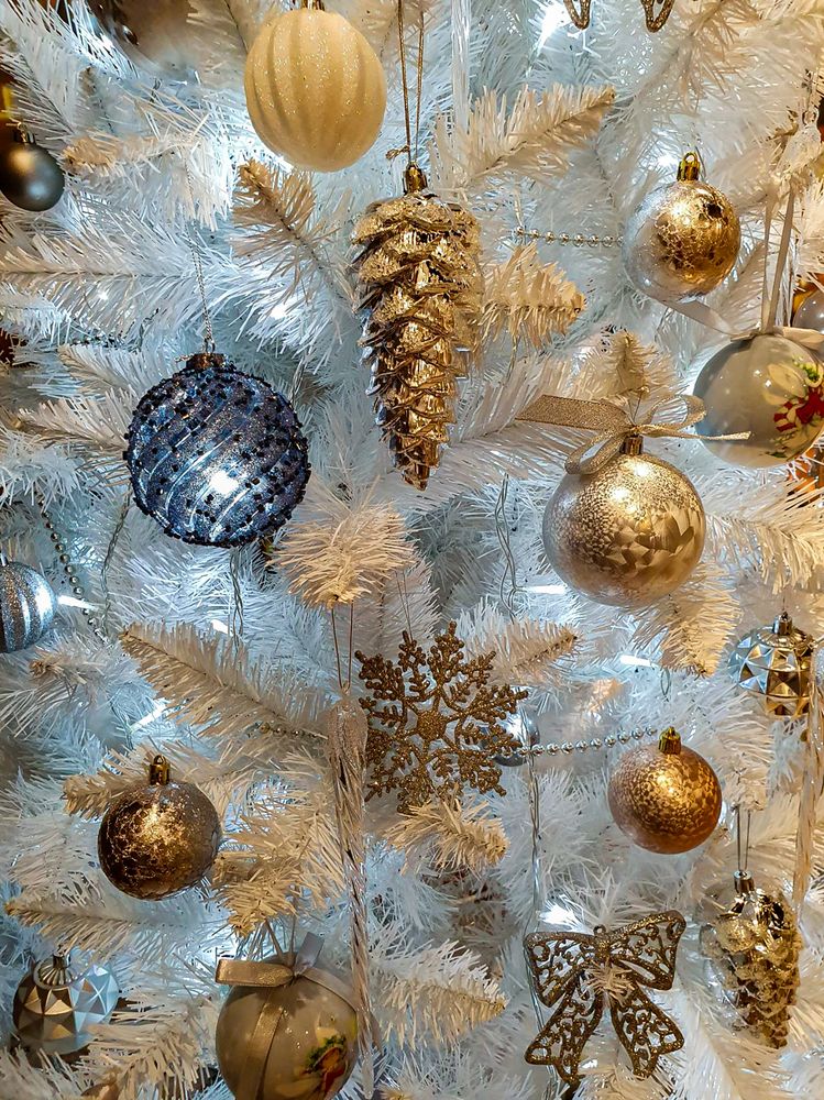 Photograph by Nikolai Barchan