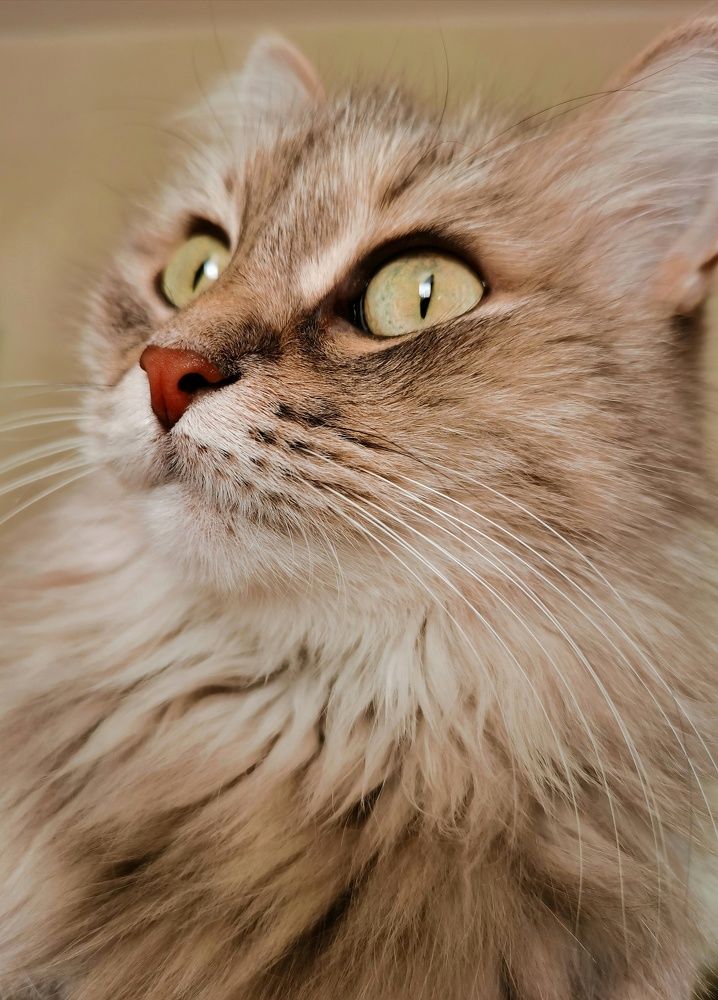 Photograph by Гульназ Шайхисламова