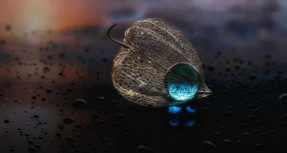 Фотография автора Обидина Мария