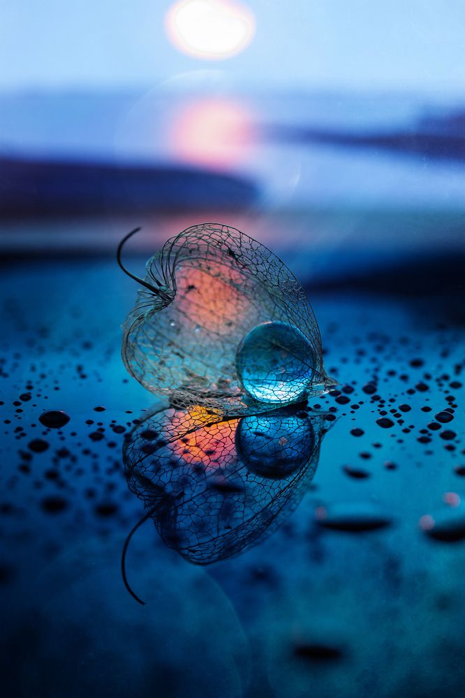 Фотография автора Обидина Мария