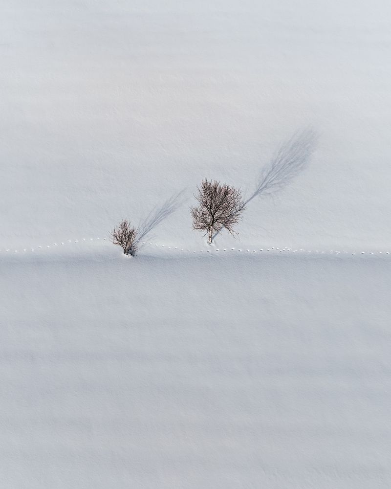 Photograph by Alina Yantsen