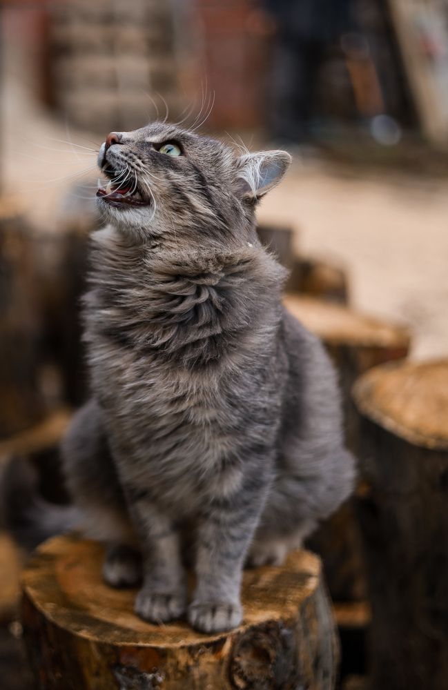 Photograph by Валентина Зуб