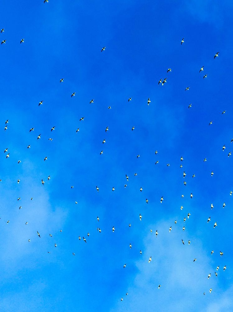 Фотография автора Таисия