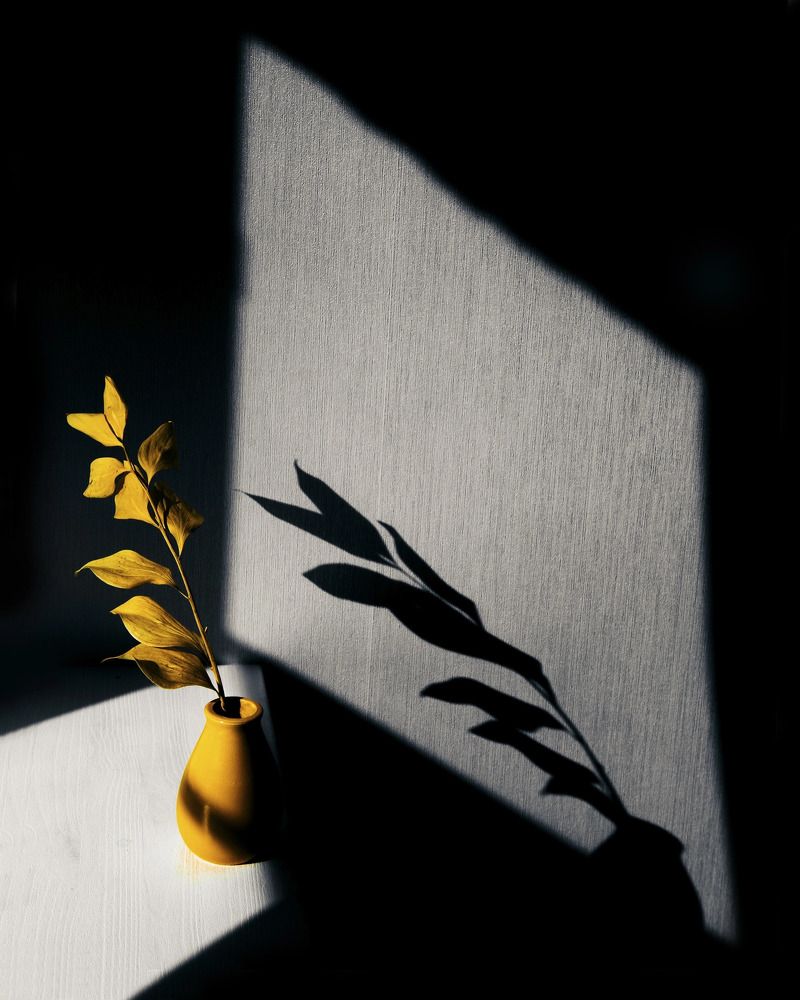 Photograph by Ольга Фесак