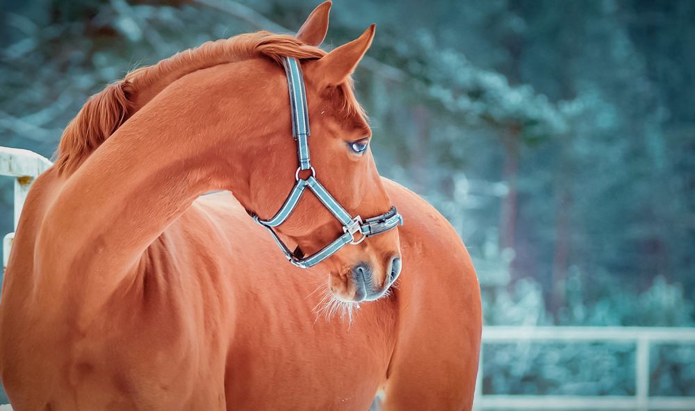 Photograph by Татьяна Шандромайло