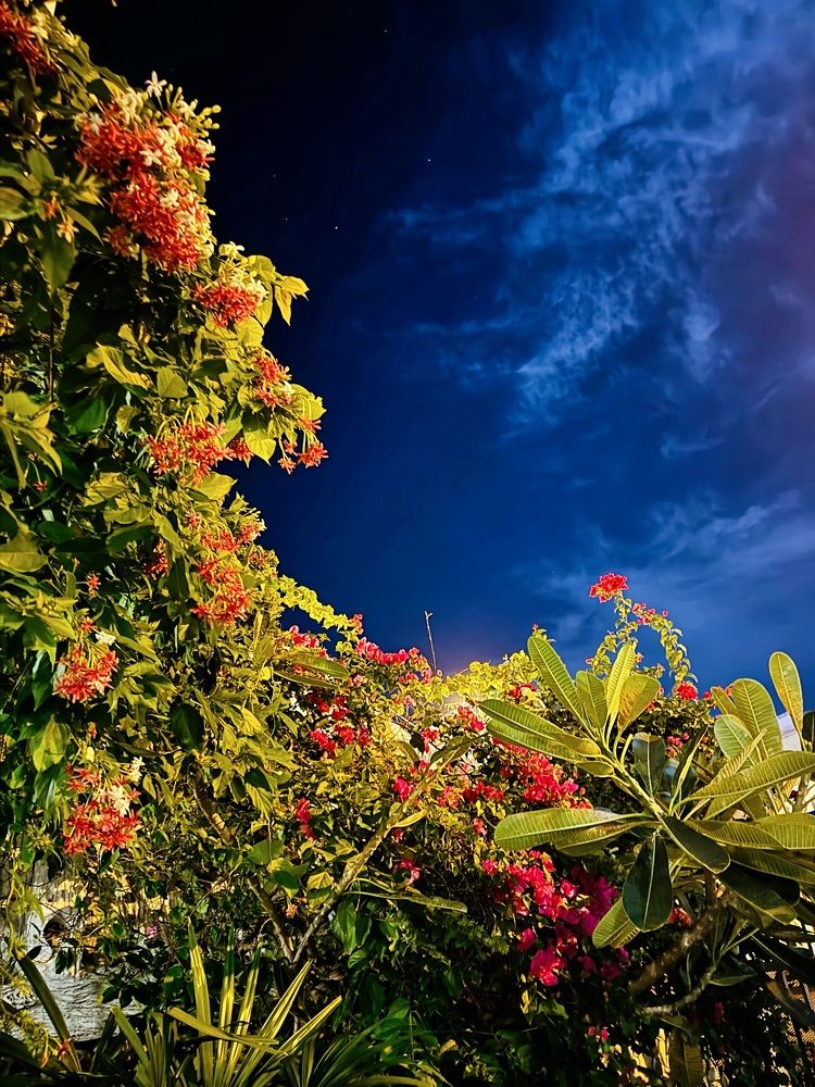 Photograph by Алена Котова