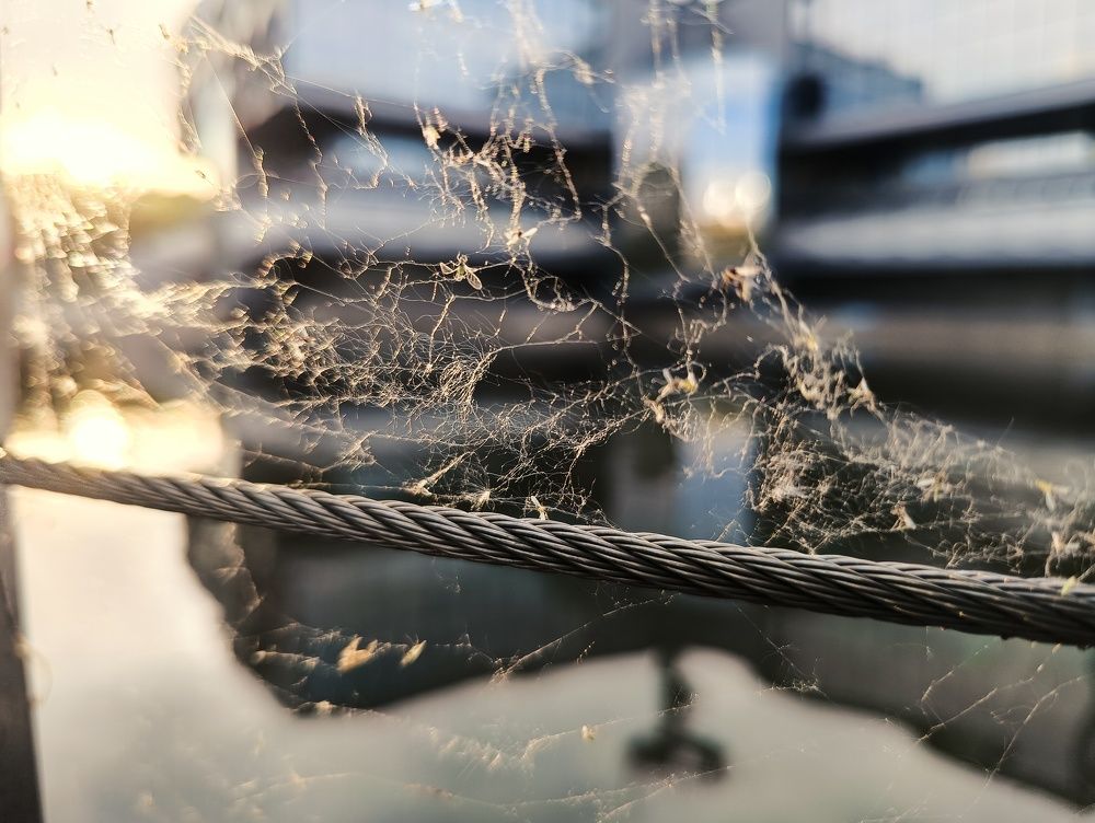 Photograph by Игорь