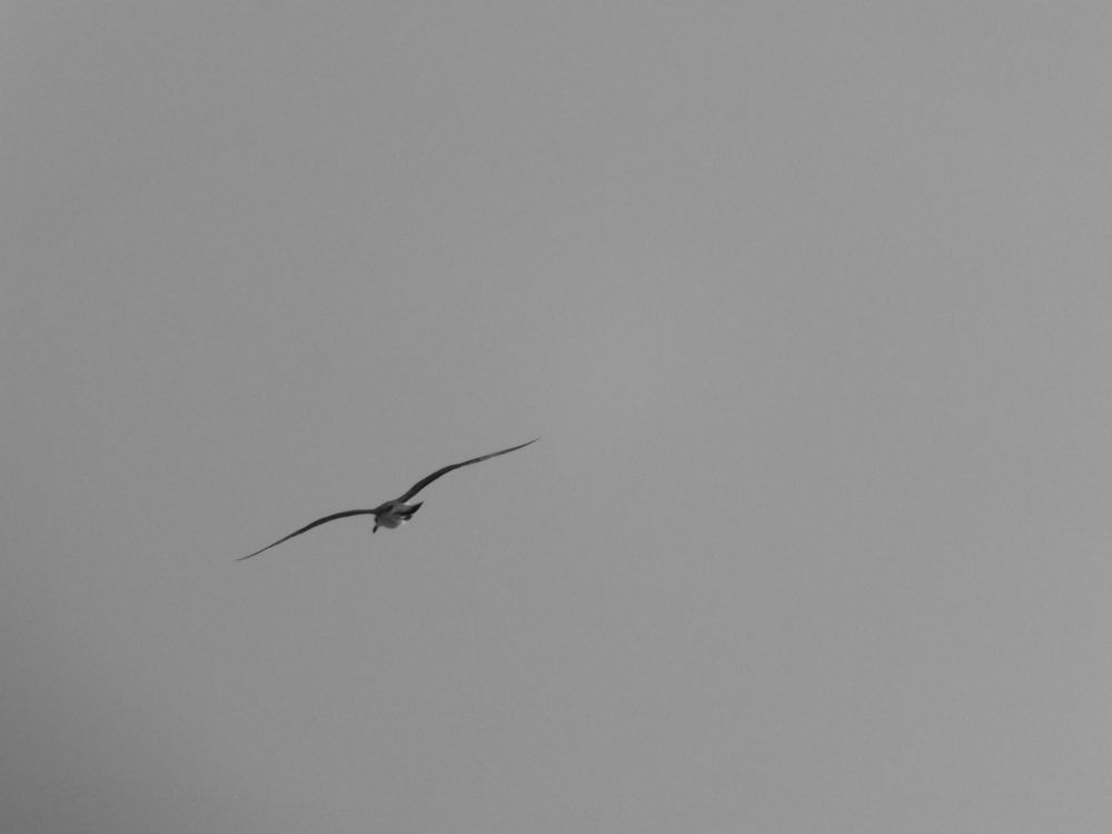 Фотография автора Анастасия Зайчуковская