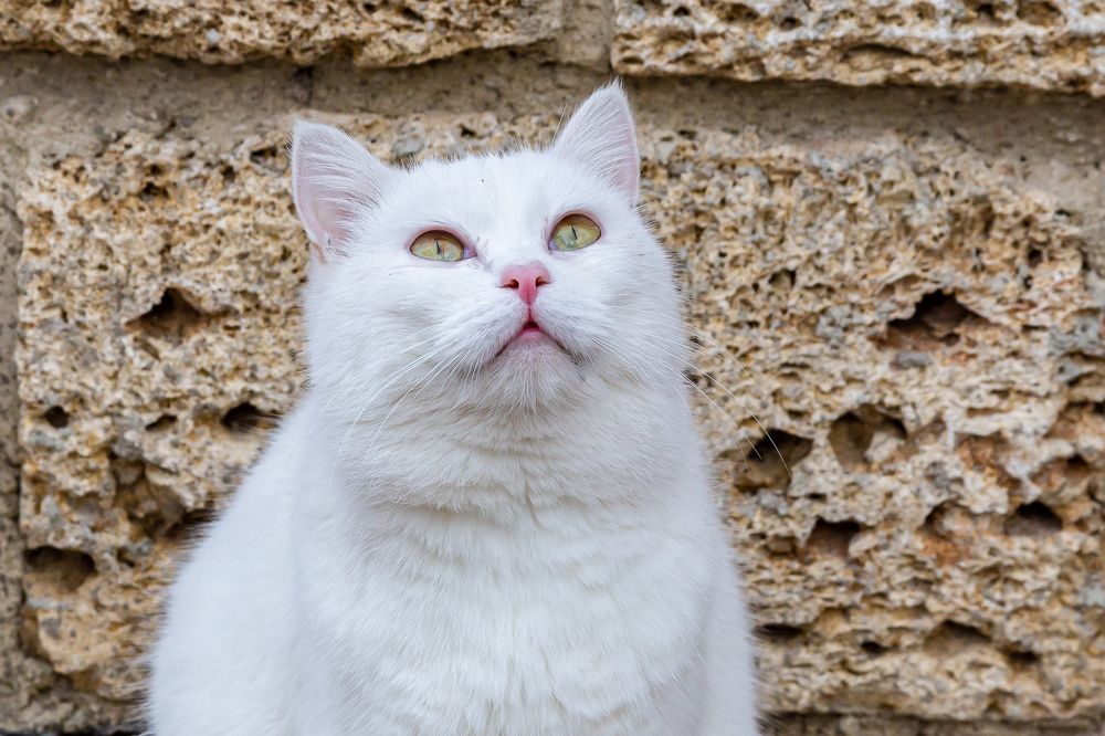 Photograph by Анатолий Мигов