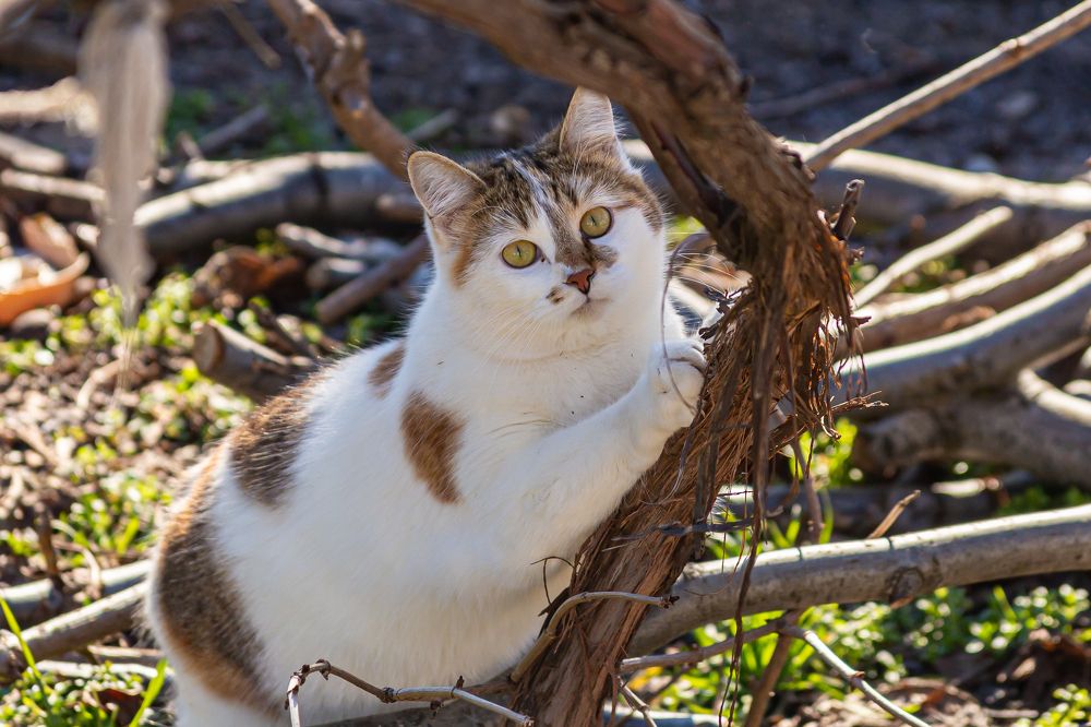 Photograph by Анатолий Мигов