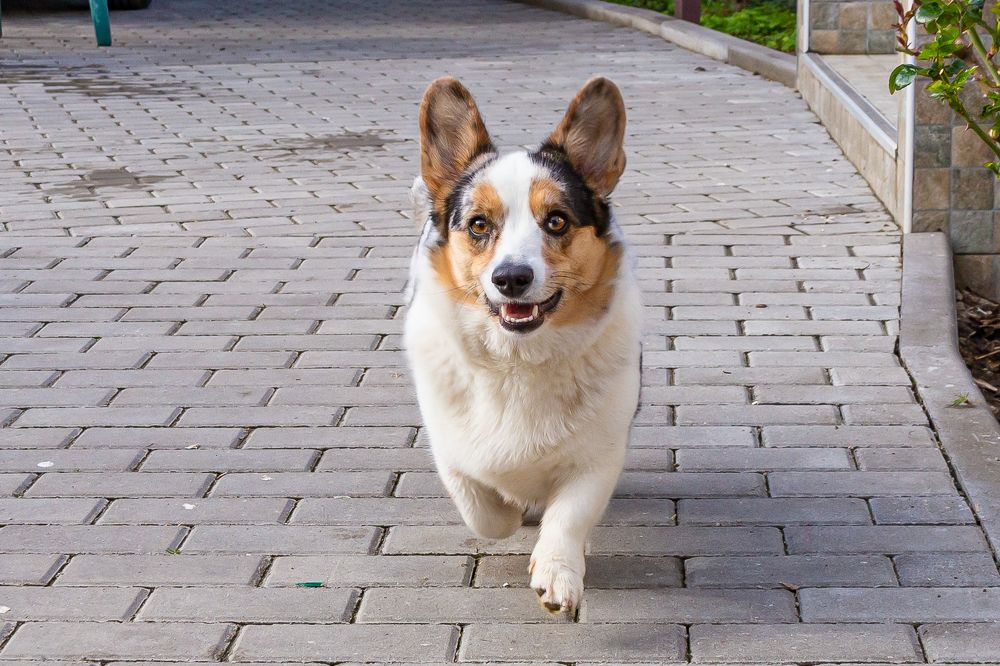 Photograph by Анатолий Мигов