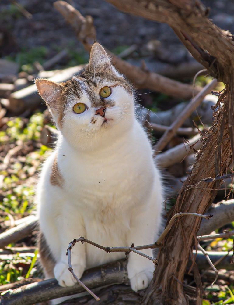 Photograph by Анатолий Мигов