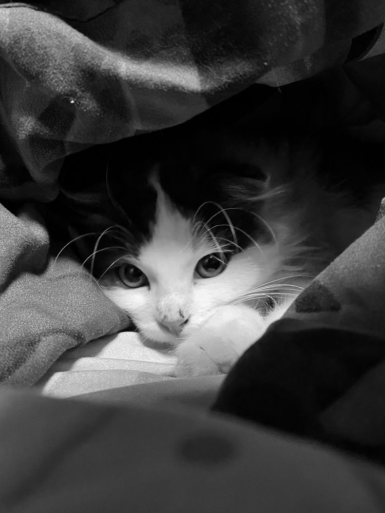 Photograph by Василина