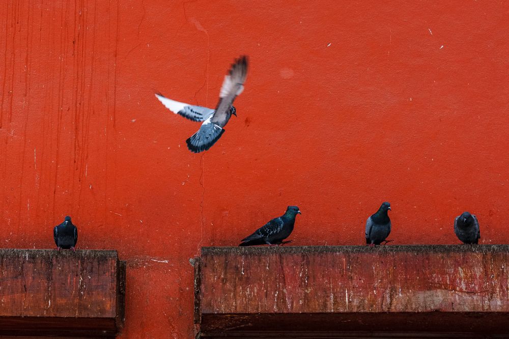 Photograph by Yilmaz Keles