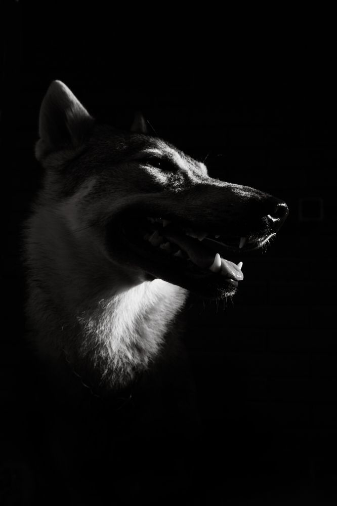 Photograph by Наталья Климова