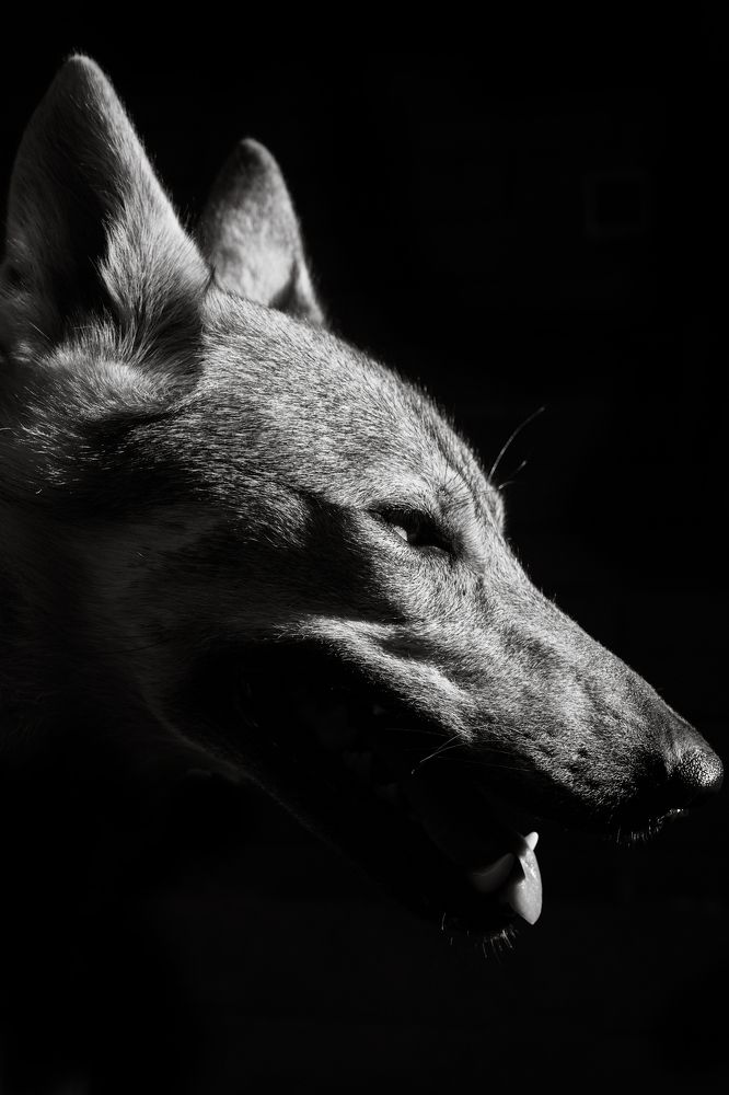 Photograph by Наталья Климова