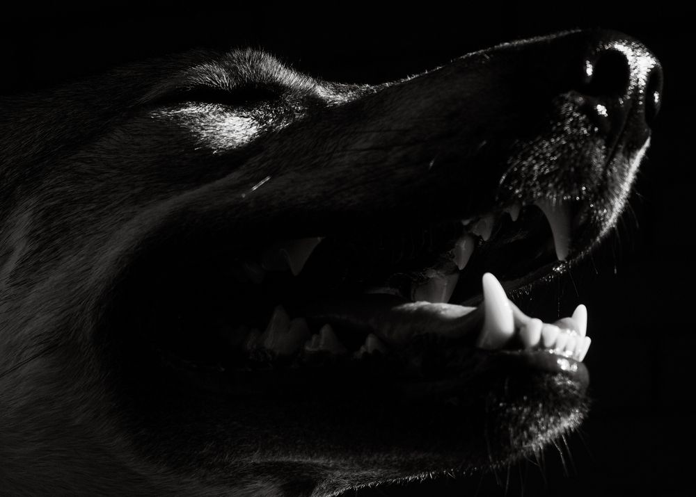 Photograph by Наталья Климова