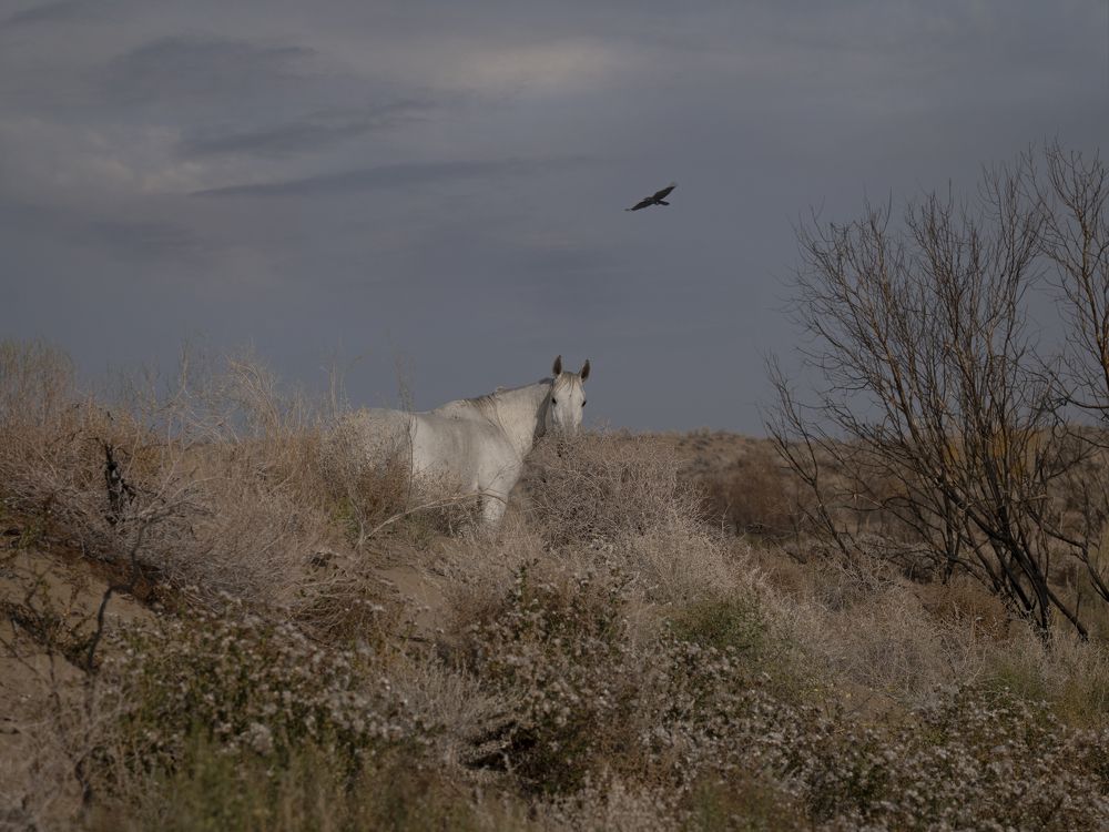 Фотография автора Наталья Яковлева