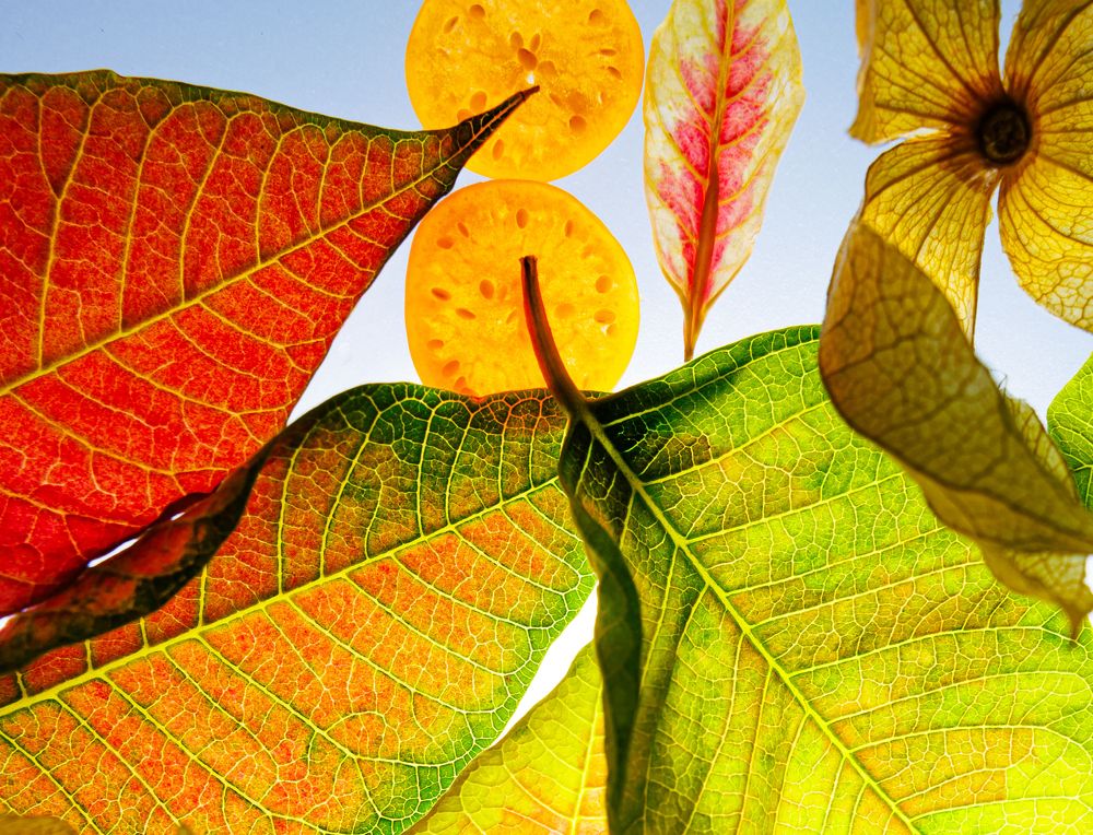 Photograph by Олеся Заяц