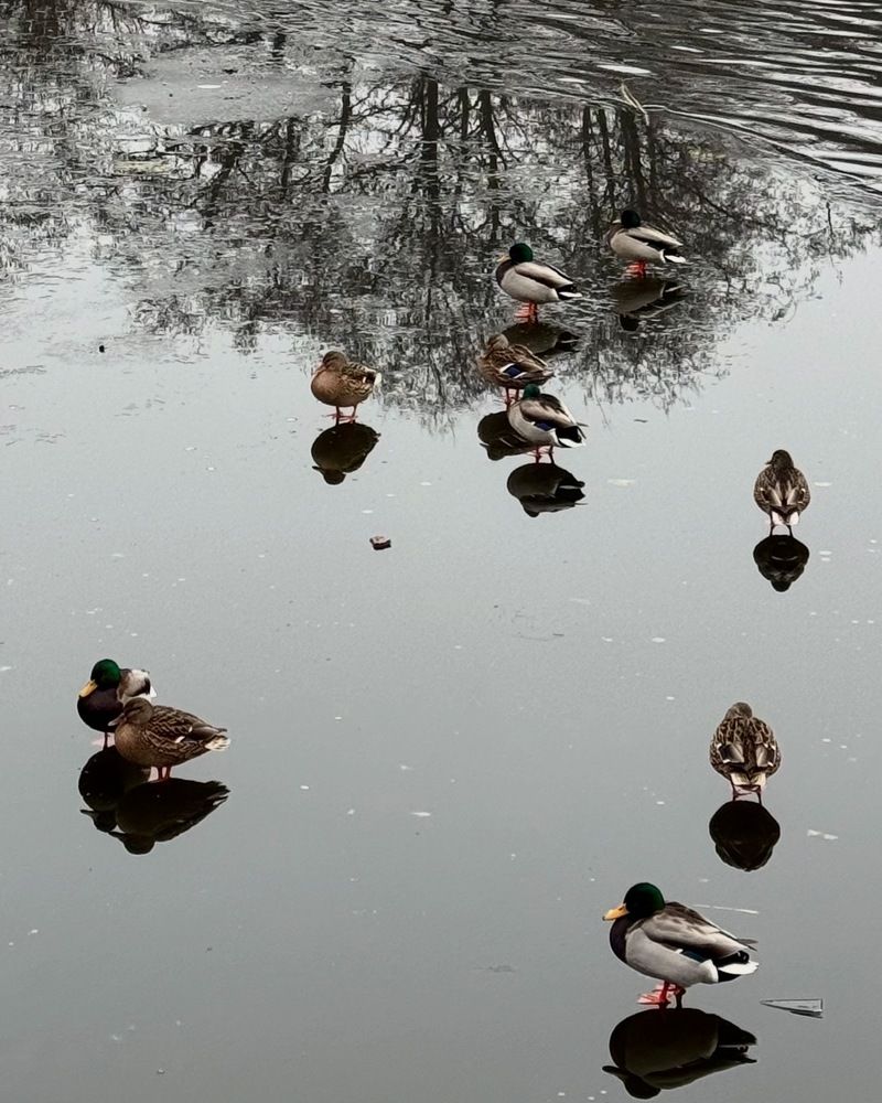 Фотография автора Светлана Герасимук
