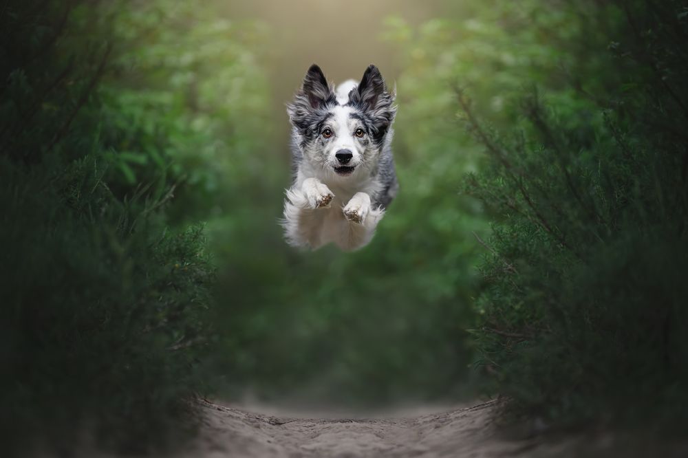 Photograph by Rut Casanellas