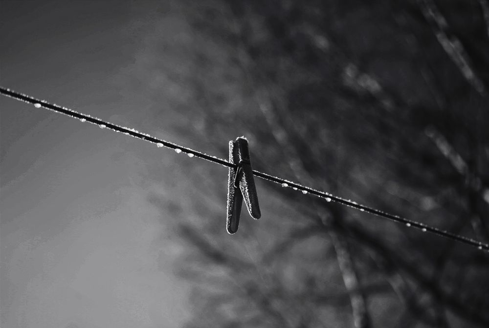 Photograph by Елена Копейкина