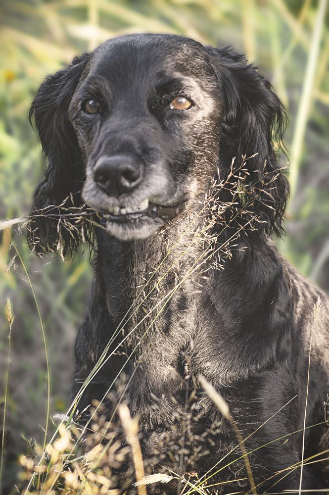 Кузенька. Моя любовь, моя душа. Память.