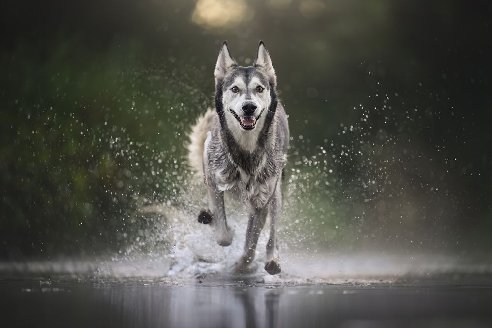 Фотография автора Rut Casanellas