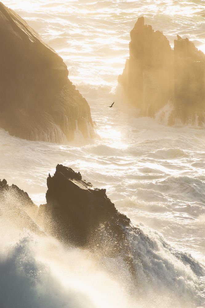 Photograph by slavi zayakov