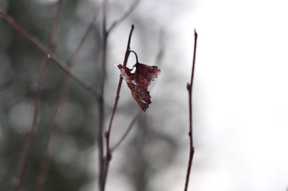 Photograph by Андрей Пляскин