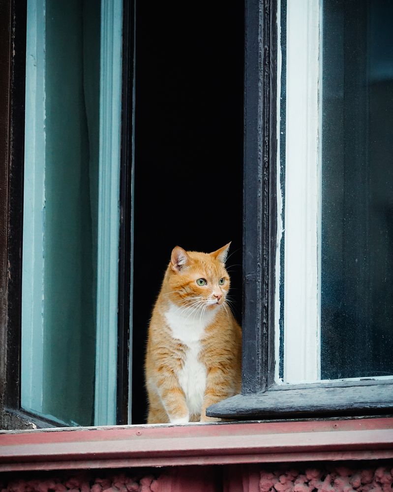 Фотография автора Андрей Иванов