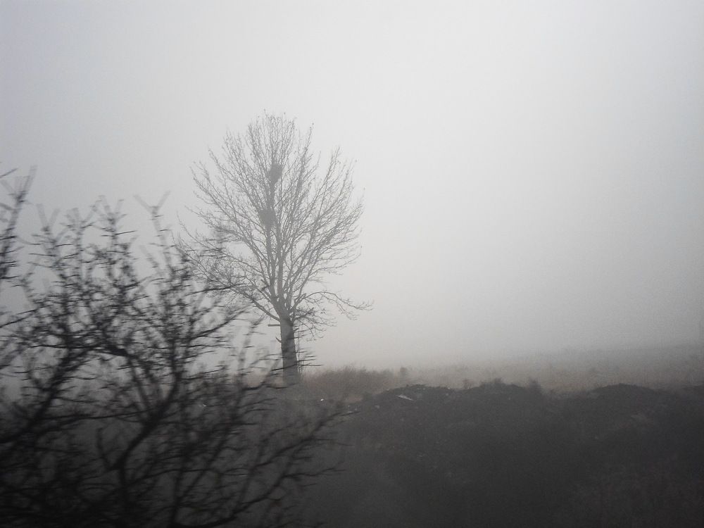 Photograph by Azizallah Abolghasemi