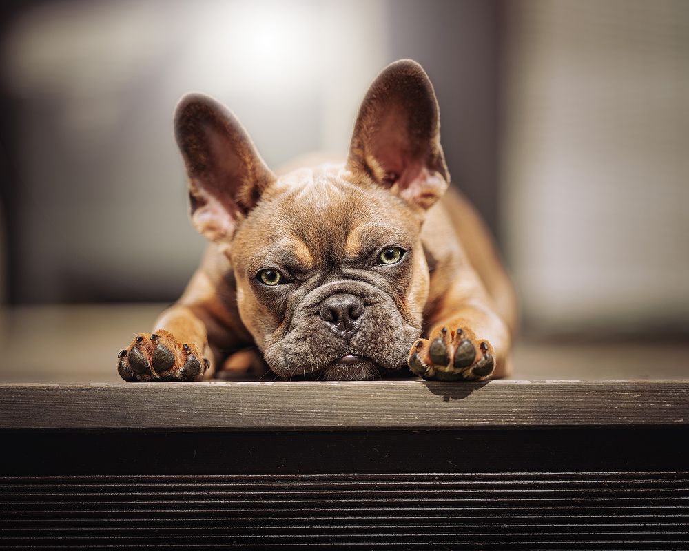 Photograph by Klaus Grimm