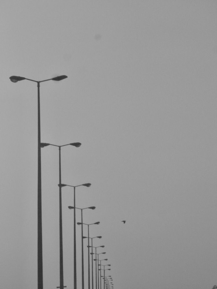 Photograph by Azizallah Abolghasemi