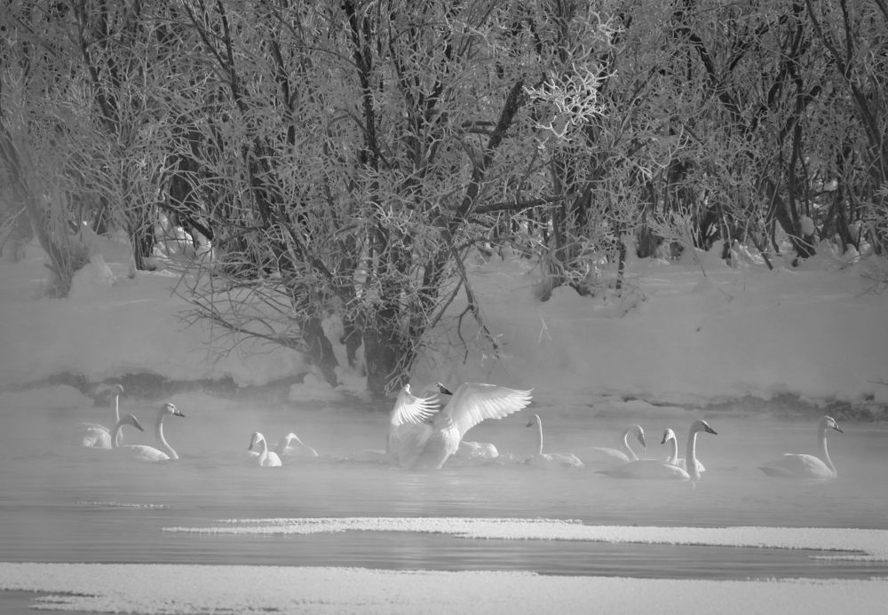 Photograph by Наталья Турчик