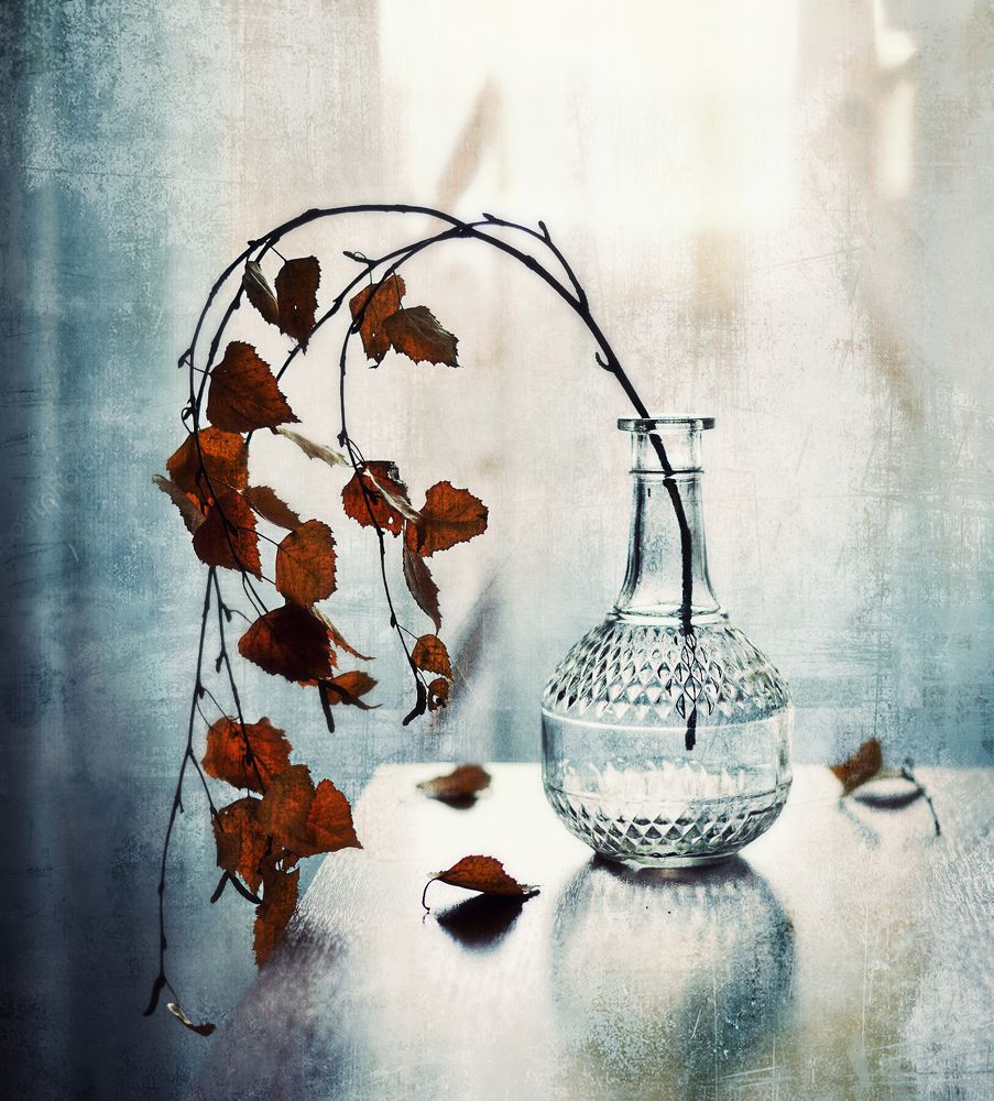 Photograph by Наталия К