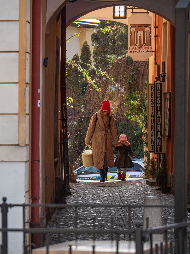 Фотография автора Доляна Горохова