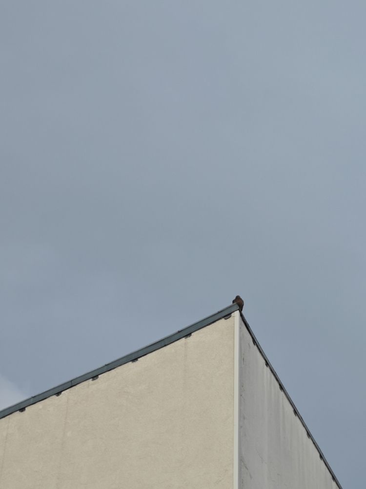 Photograph by Александра Шилова