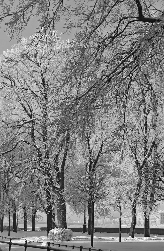 Photograph by Ольга Терскова