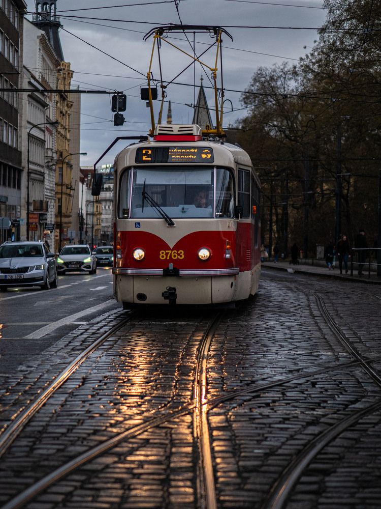 Фотография автора Доляна Горохова