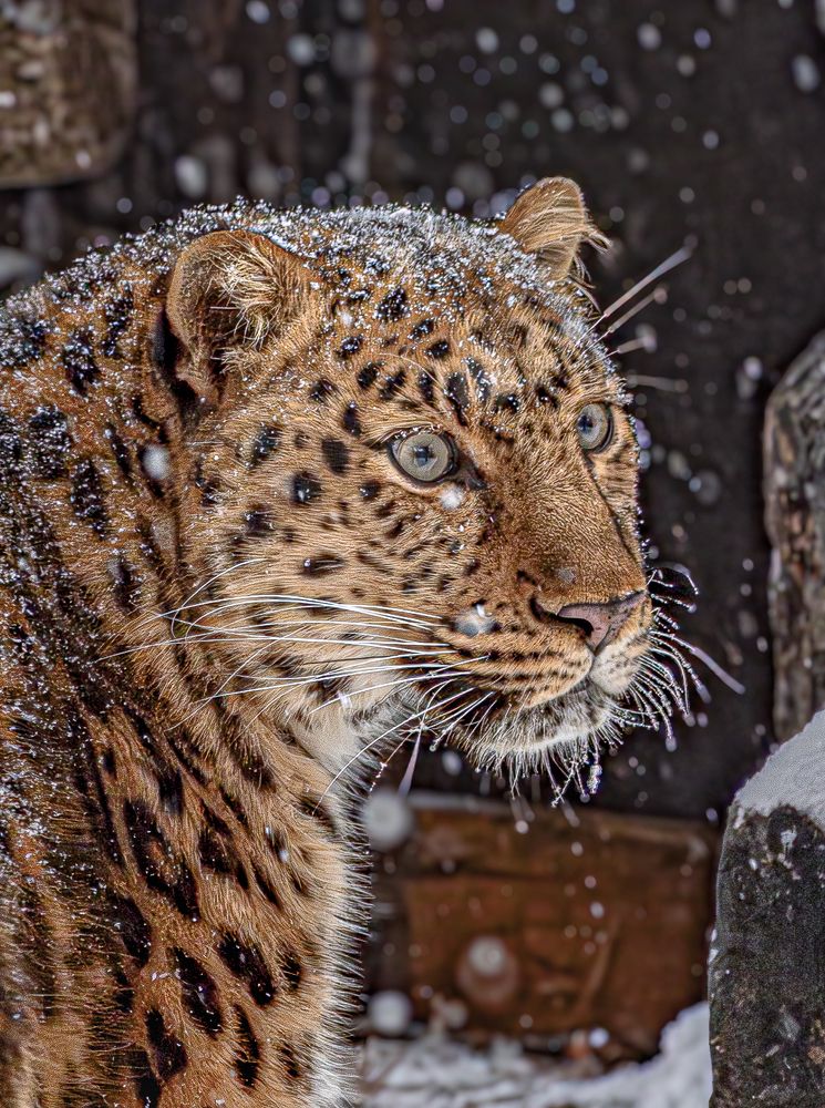 Photograph by Михаил Измайлов