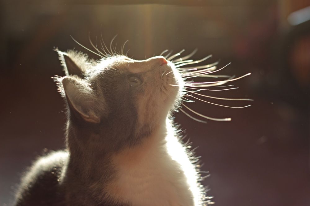 Photograph by Анастасия Рубан