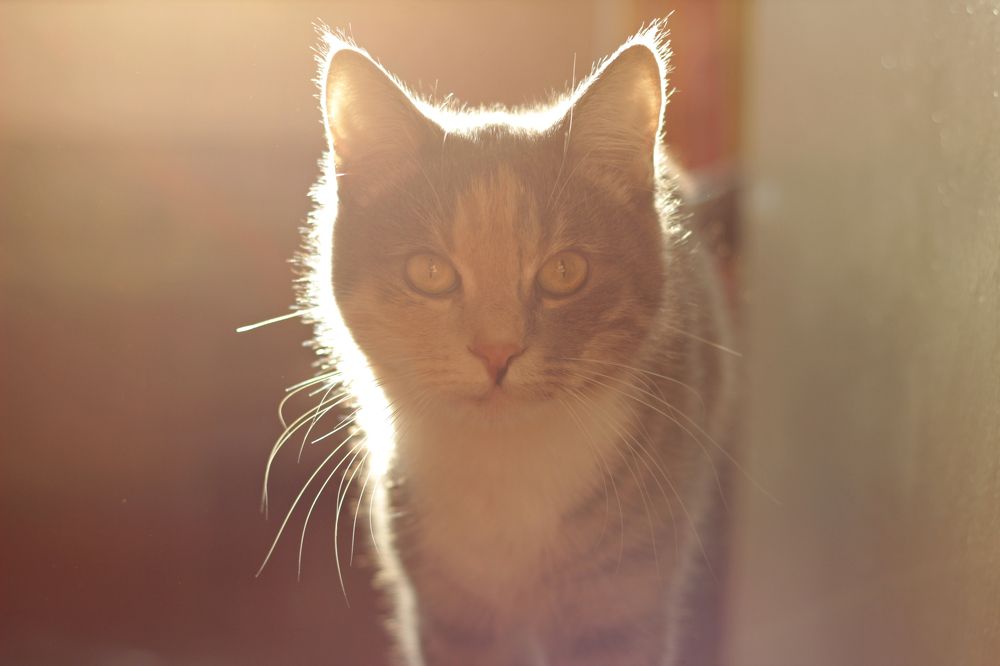 Photograph by Анастасия Рубан