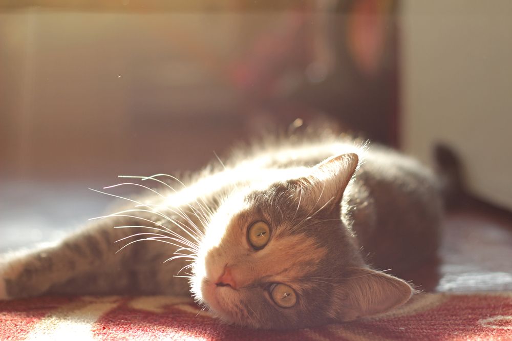 Photograph by Анастасия Рубан