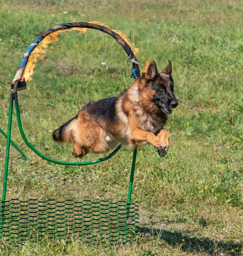 Фотография автора Aliaksandr Shautsou