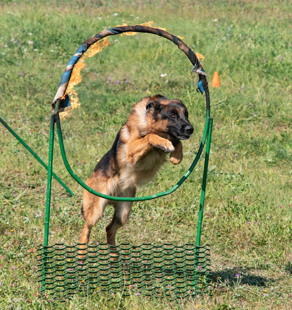 Фотография автора Aliaksandr Shautsou