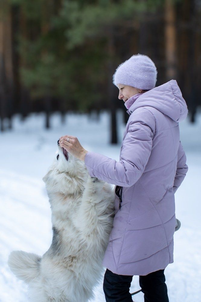 Photograph by Александр Волков