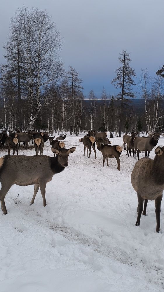 Photograph by Екатерина